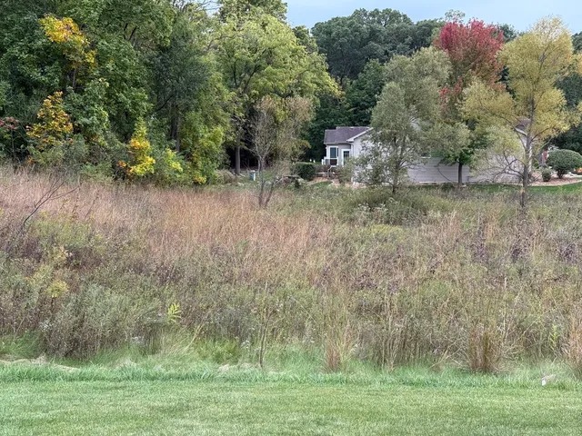 a view of a lush green field