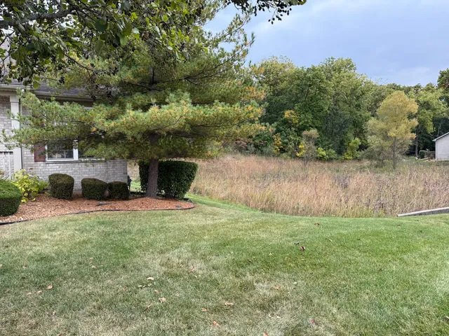 a view of a couches in a backyard of the house