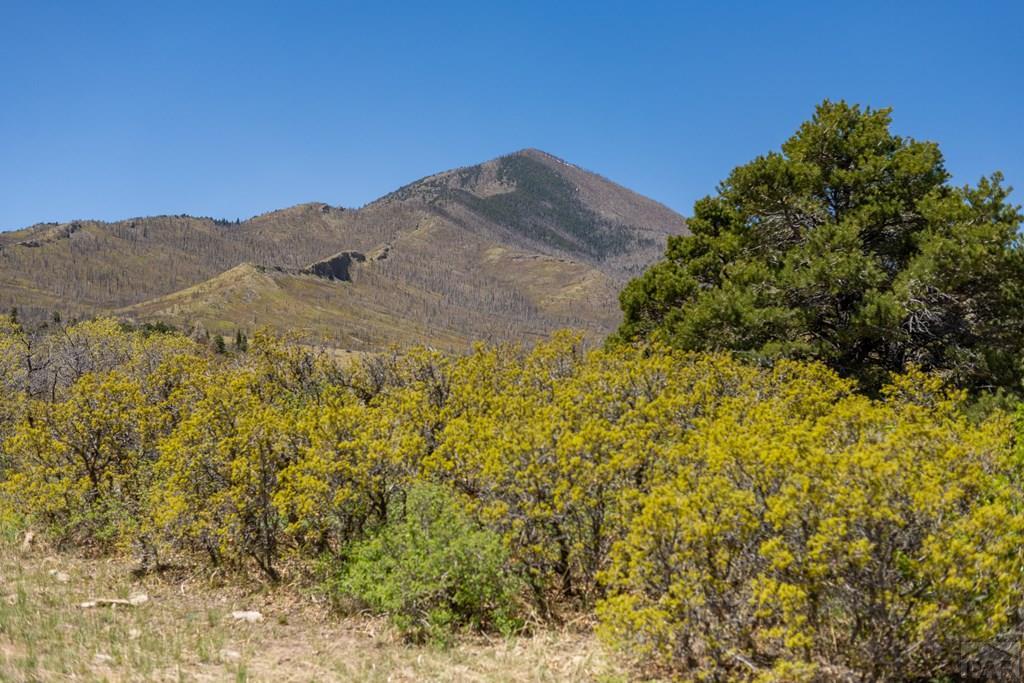 Lot 25 Majors Ranch Walsenburg, CO 81089 - Photo 1 of 34
