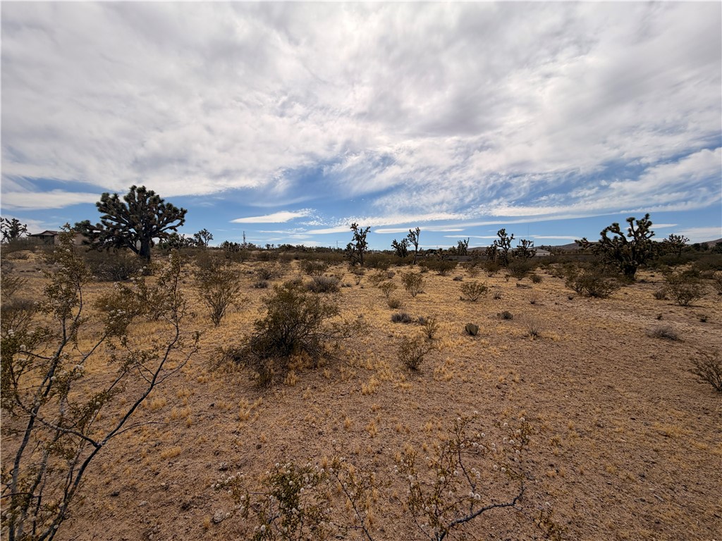17773 Laurel Road Dolan Springs, AZ 86441 - Photo 6 of 9