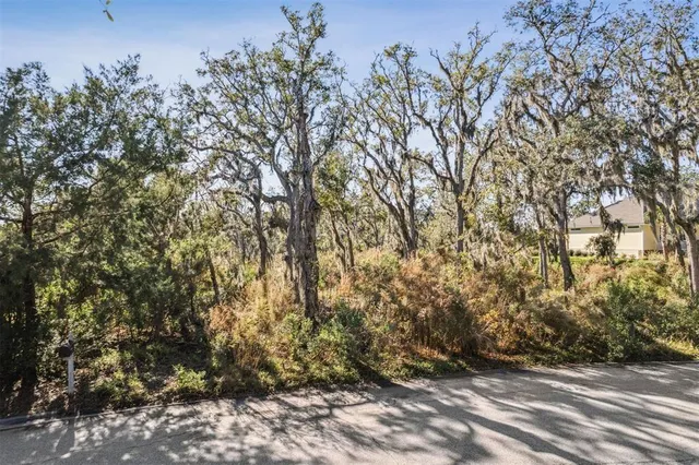 $329,000 | 96309 Piney Island Drive, Fernandina Beach, FL 32034