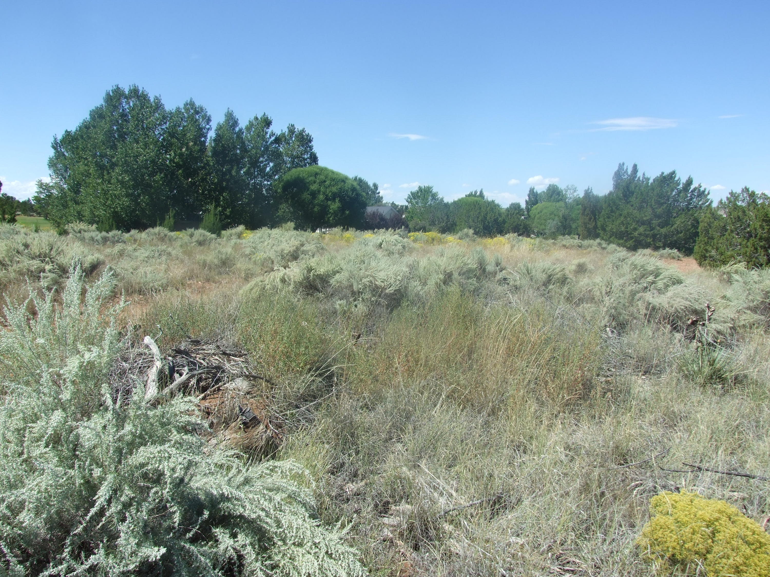 Lot 76 Snowflake Golf Course Snowflake, AZ 85937 - Photo 4 of 9