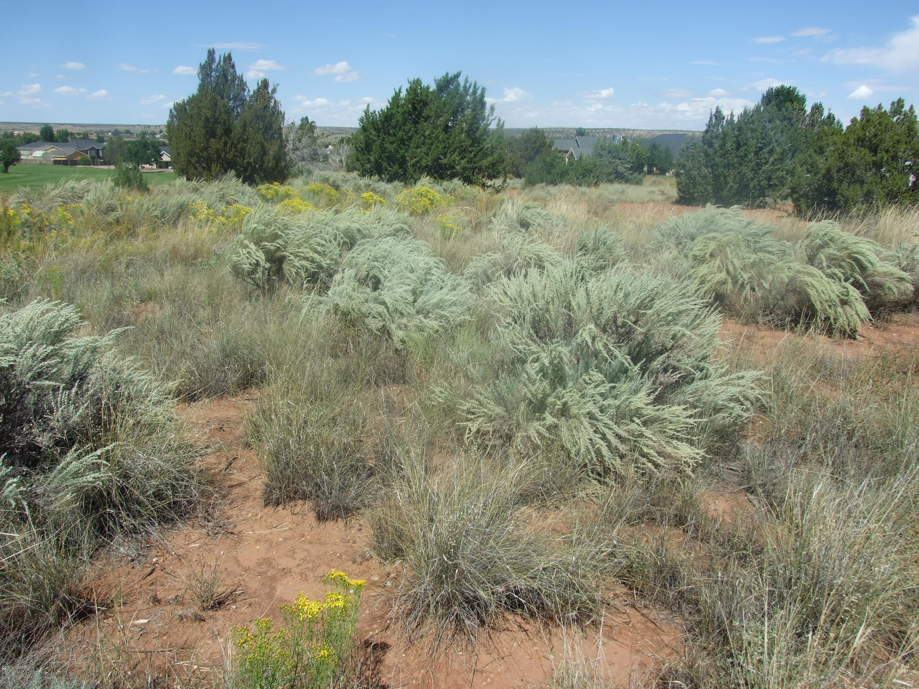 Lot 76 Snowflake Golf Course Snowflake, AZ 85937 - Photo 5 of 9