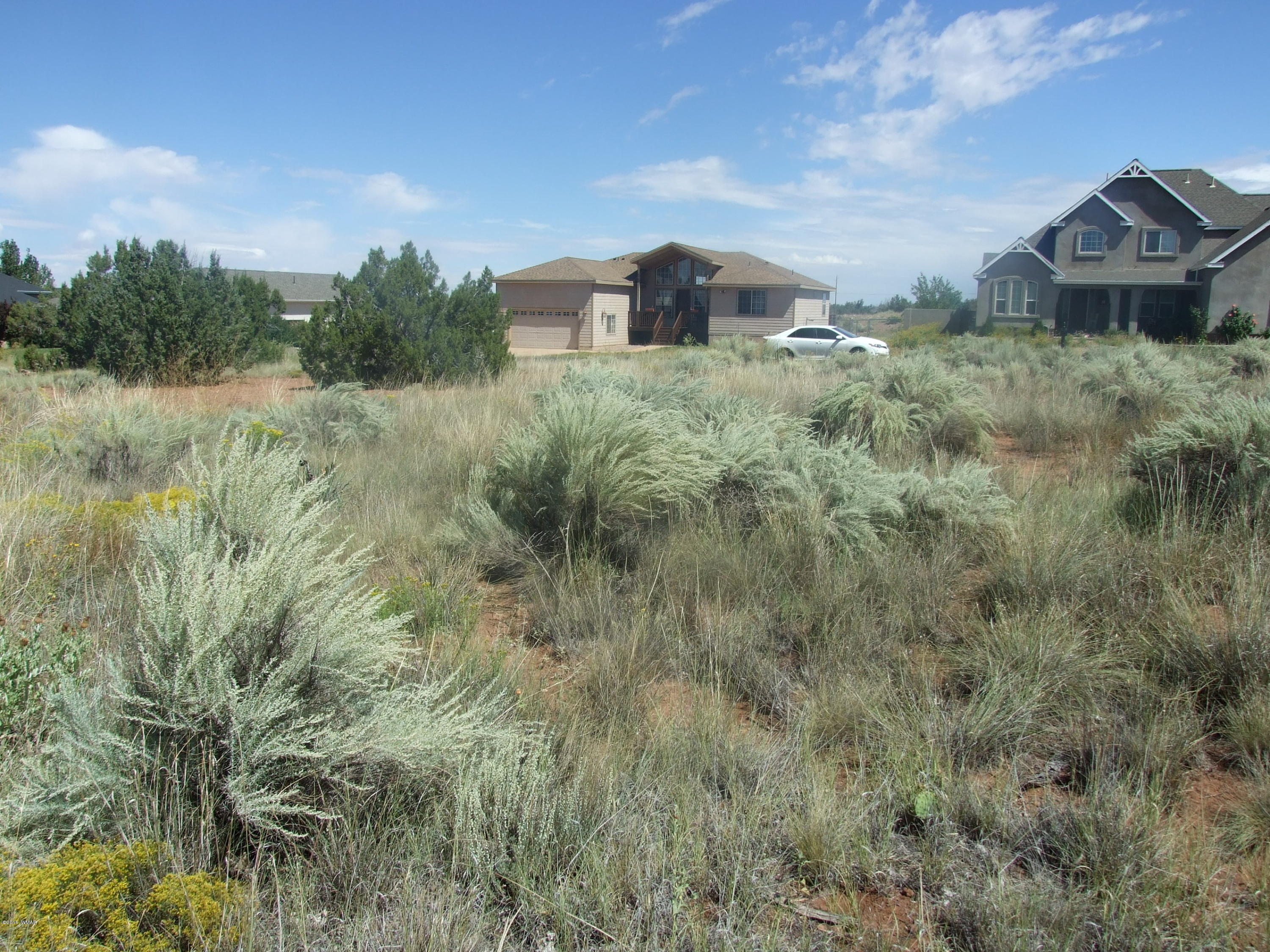 Lot 76 Snowflake Golf Course Snowflake, AZ 85937 - Photo 7 of 9