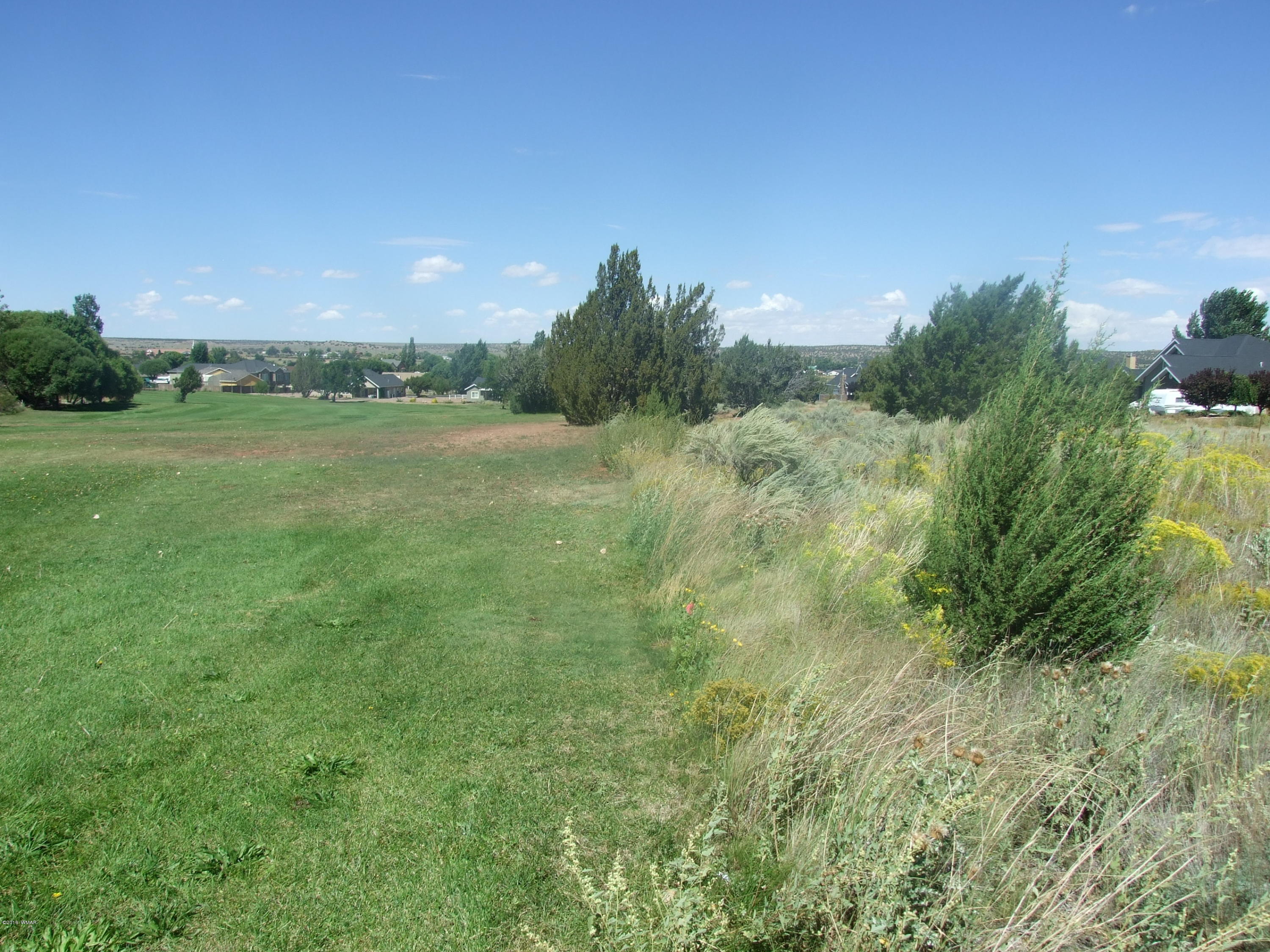 Lot 76 Snowflake Golf Course Snowflake, AZ 85937 - Photo 8 of 9