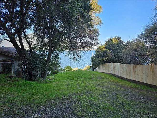 a view of a backyard with a large trees
