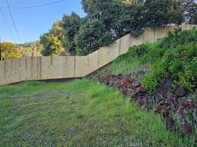 a view of a backyard with potted plants and large trees