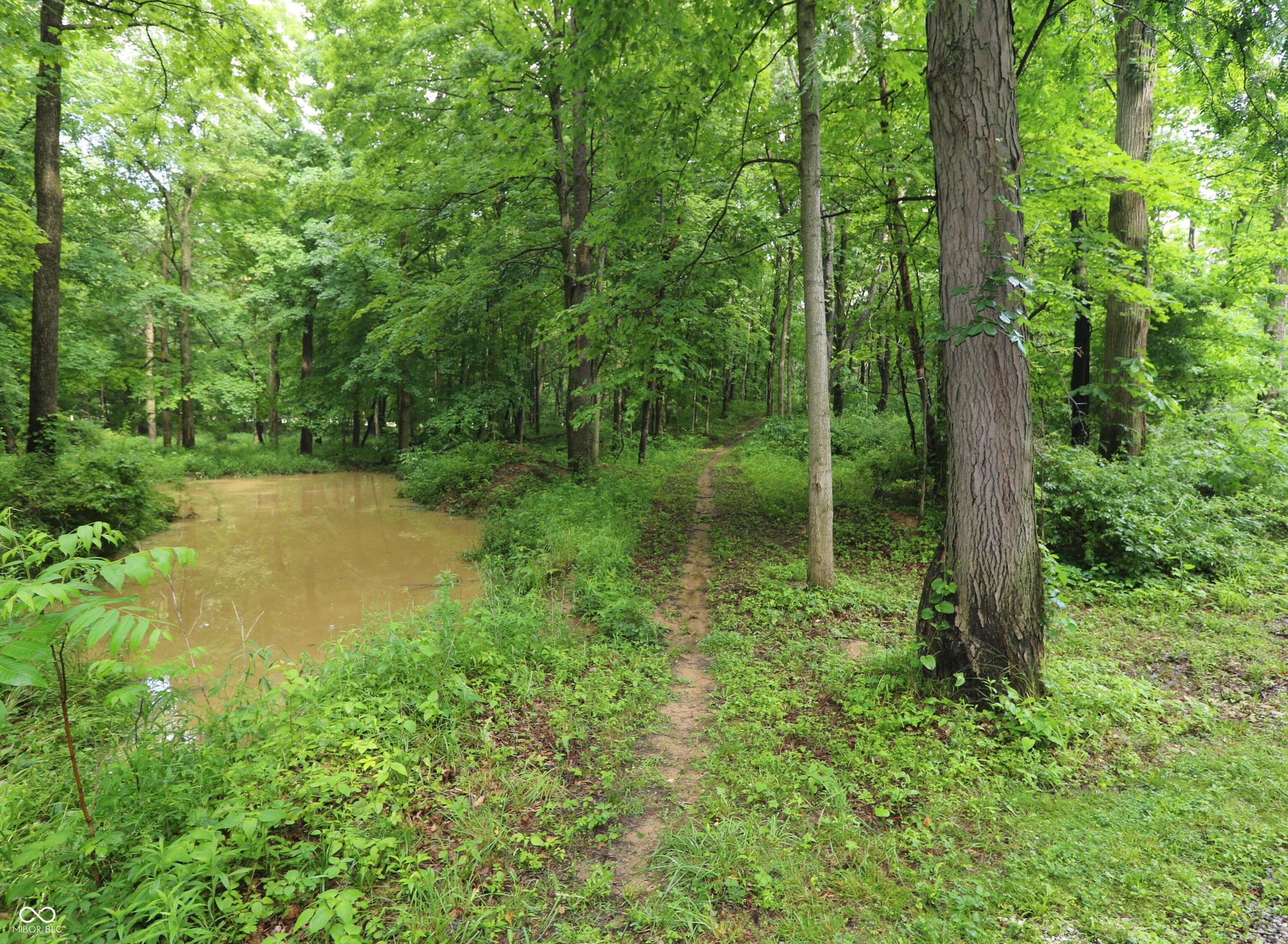 355 East Johnson Bridge Road Williamsport, IN 47993 - Photo 45 of 71
