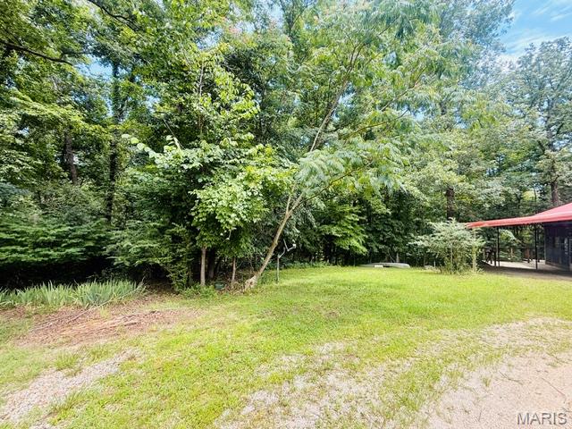88 Rochester Lane Wappapello, MO 63966 - Photo 12 of 53