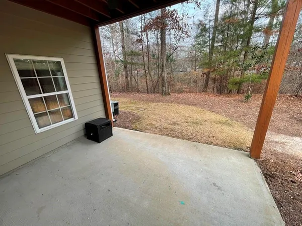a view of backyard with large tree