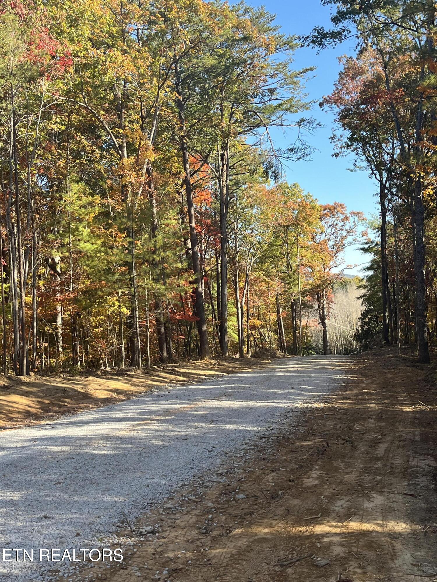 101 Cherokee Path Tellico Plains, TN 37385 - Photo 17 of 59 IMG_1683