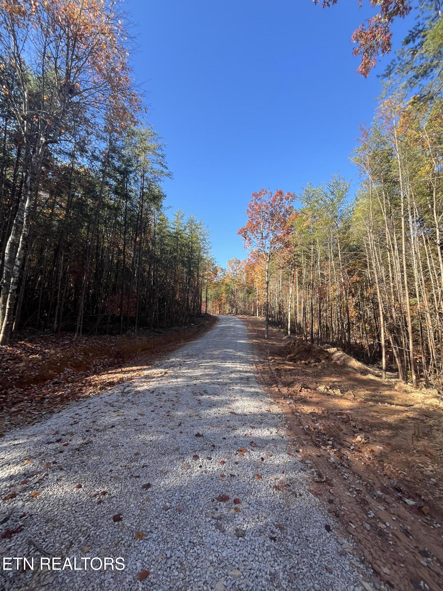 101 Cherokee Path Tellico Plains, TN 37385 - Photo 18 of 59 IMG_1667