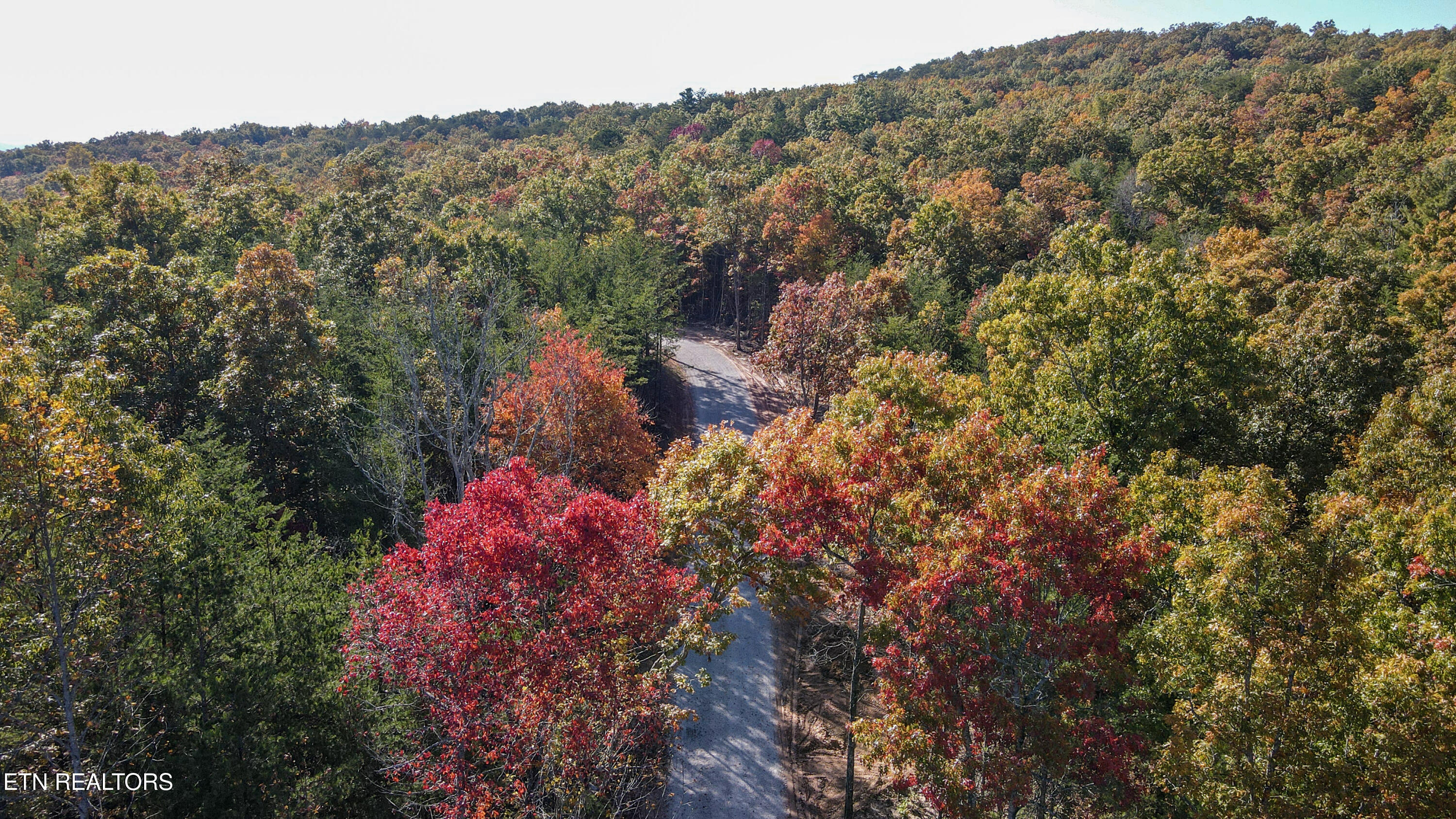 101 Cherokee Path Tellico Plains, TN 37385 - Photo 2 of 59 11-DJI_0307