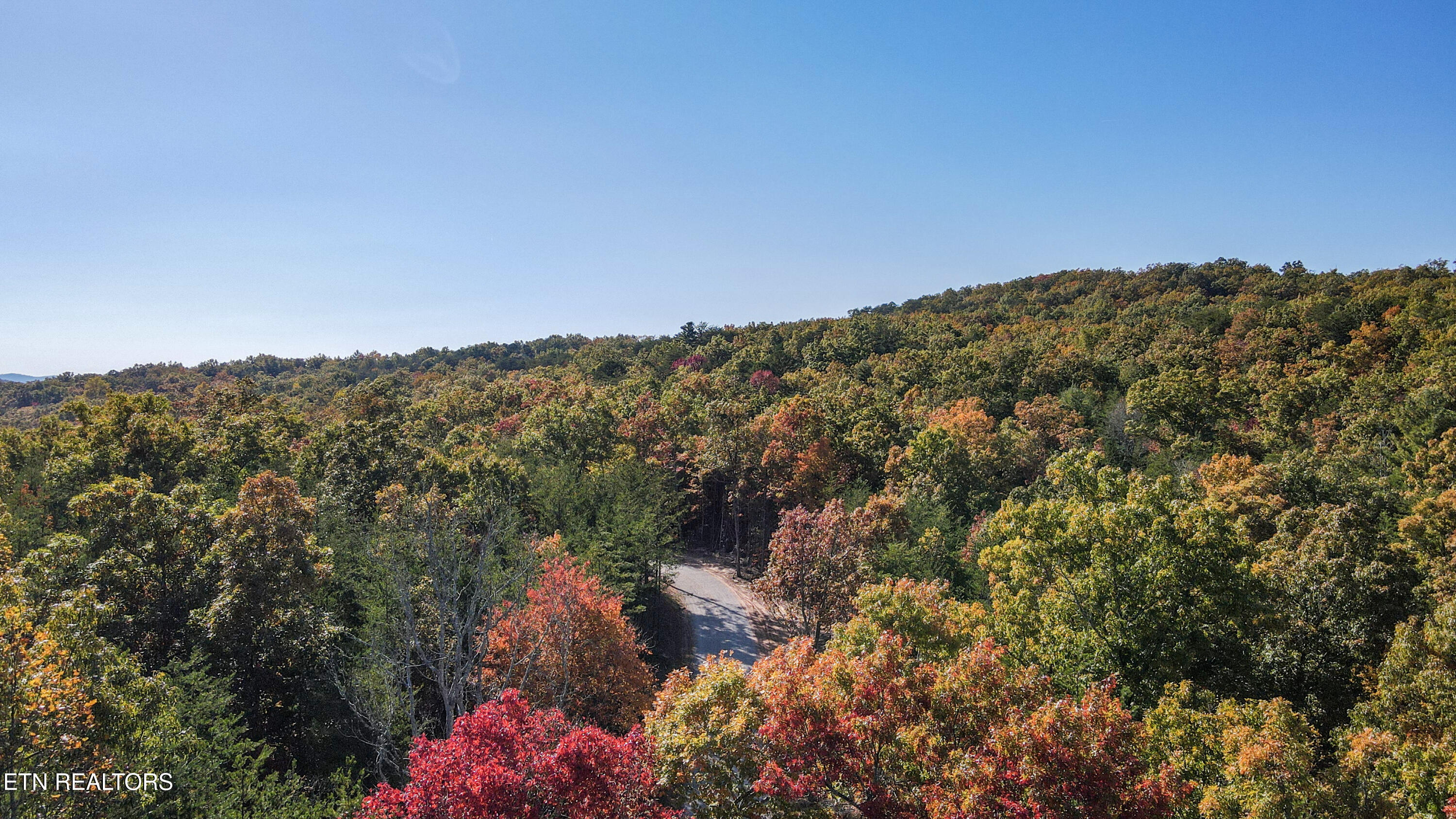 101 Cherokee Path Tellico Plains, TN 37385 - Photo 38 of 59 12-DJI_0308