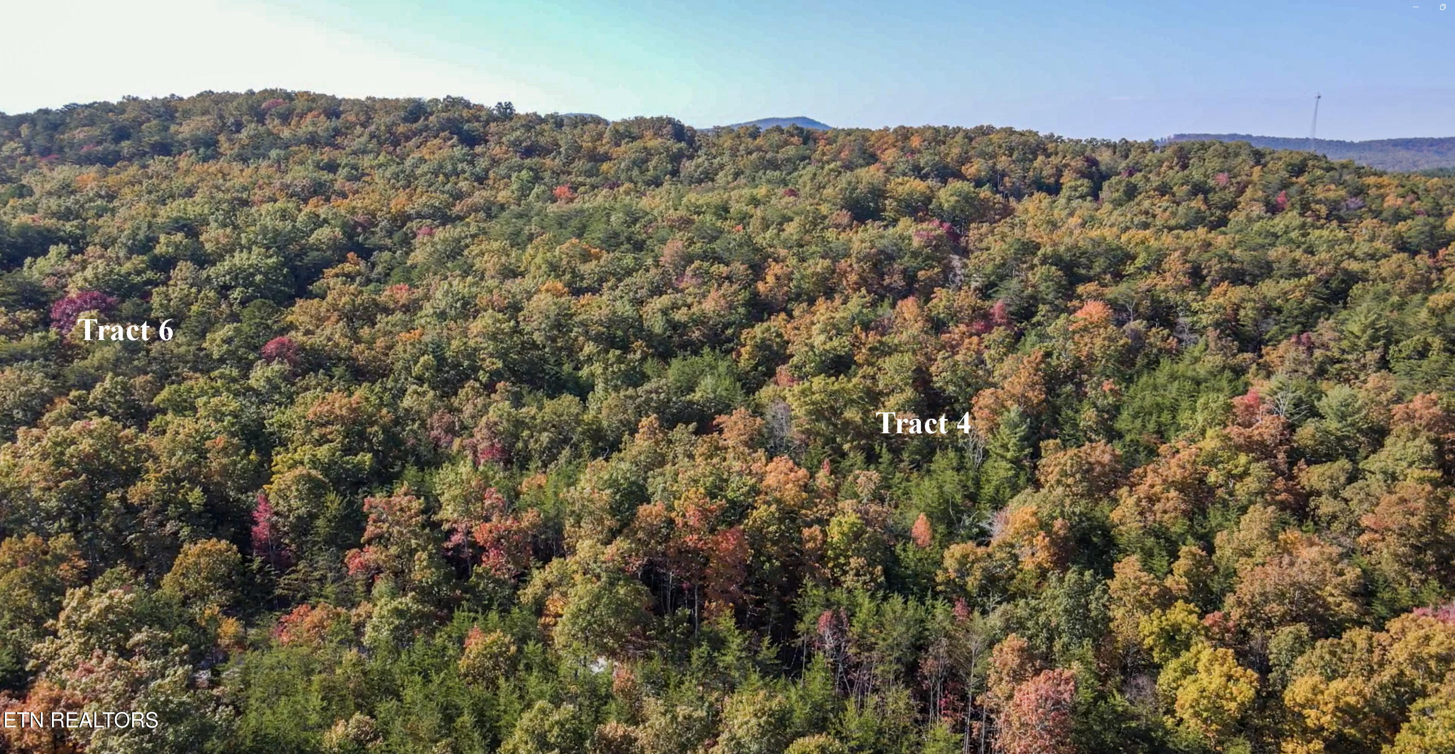 101 Cherokee Path Tellico Plains, TN 37385 - Photo 47 of 59 10-87 ac hwy 68 5-Edit