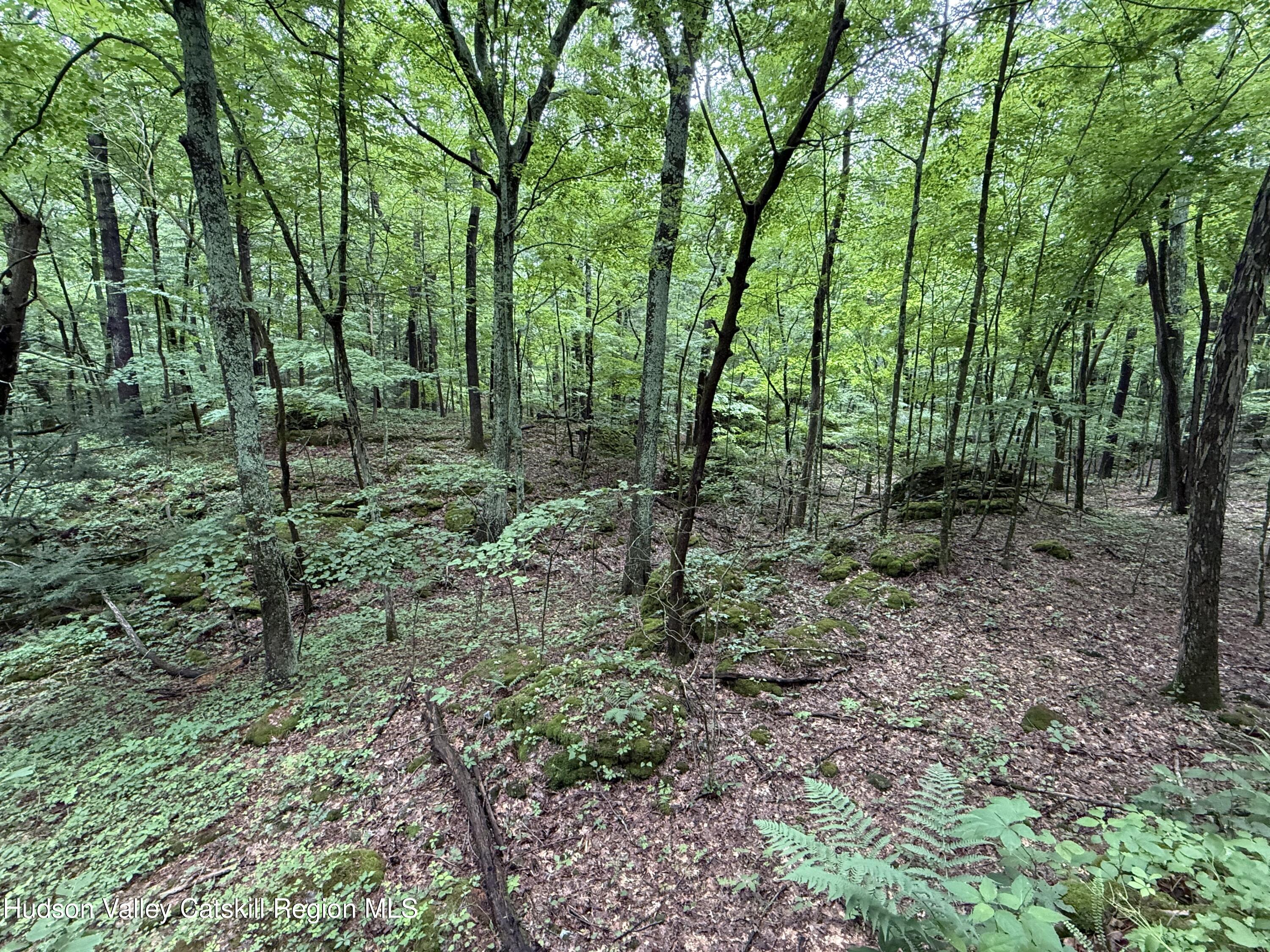 Tbd Green Lake Road Catskill, NY 12414 - Photo 11 of 24 IMG_2622