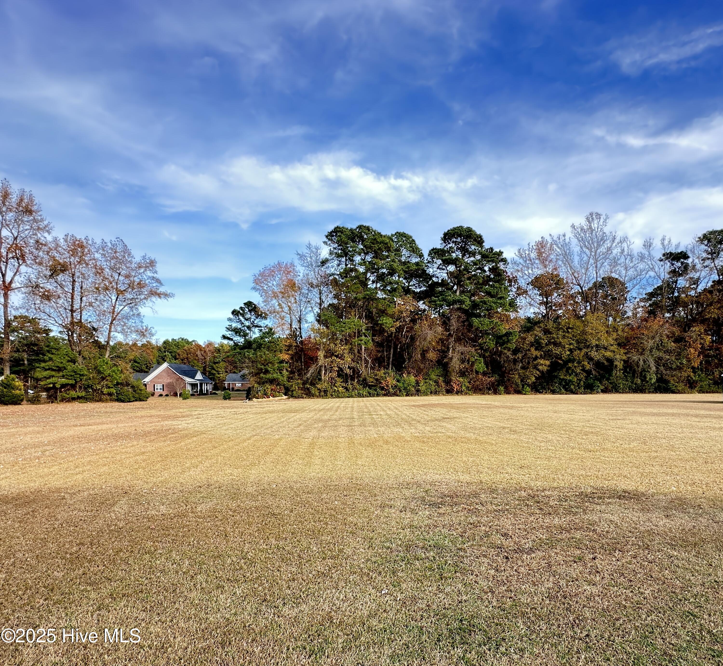 216 Beaverdam Drive Clinton, NC 28328 - Photo 10 of 51 Spacious backyard for this .66-acre lot!