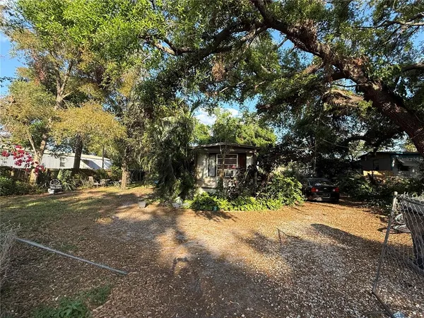 a view of a yard with plants and trees