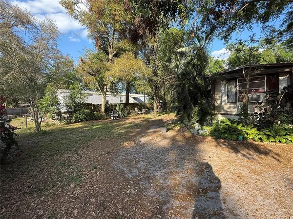 a view of road with trees
