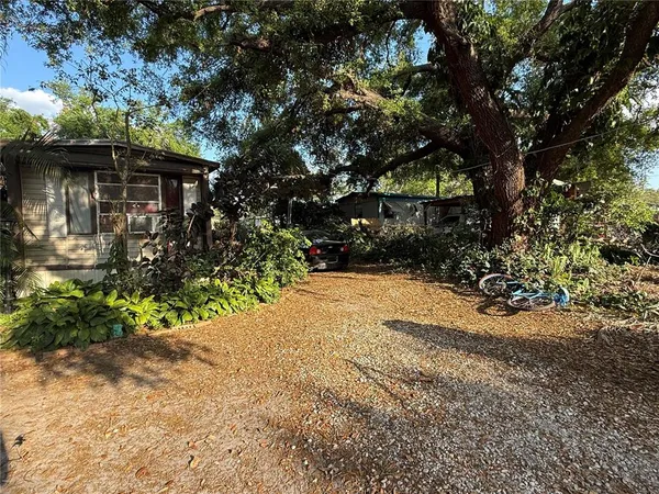 a view of a yard with plants and trees