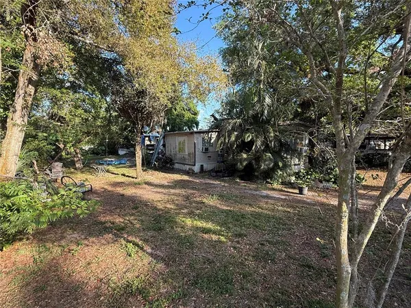 a view of a yard with plants and trees