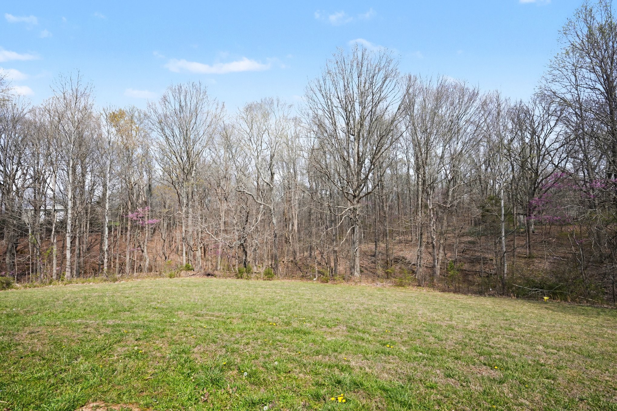11948 Betts Road Greenbrier, TN 37073 - Photo 44 of 44 a backyard of a house with lots of green space