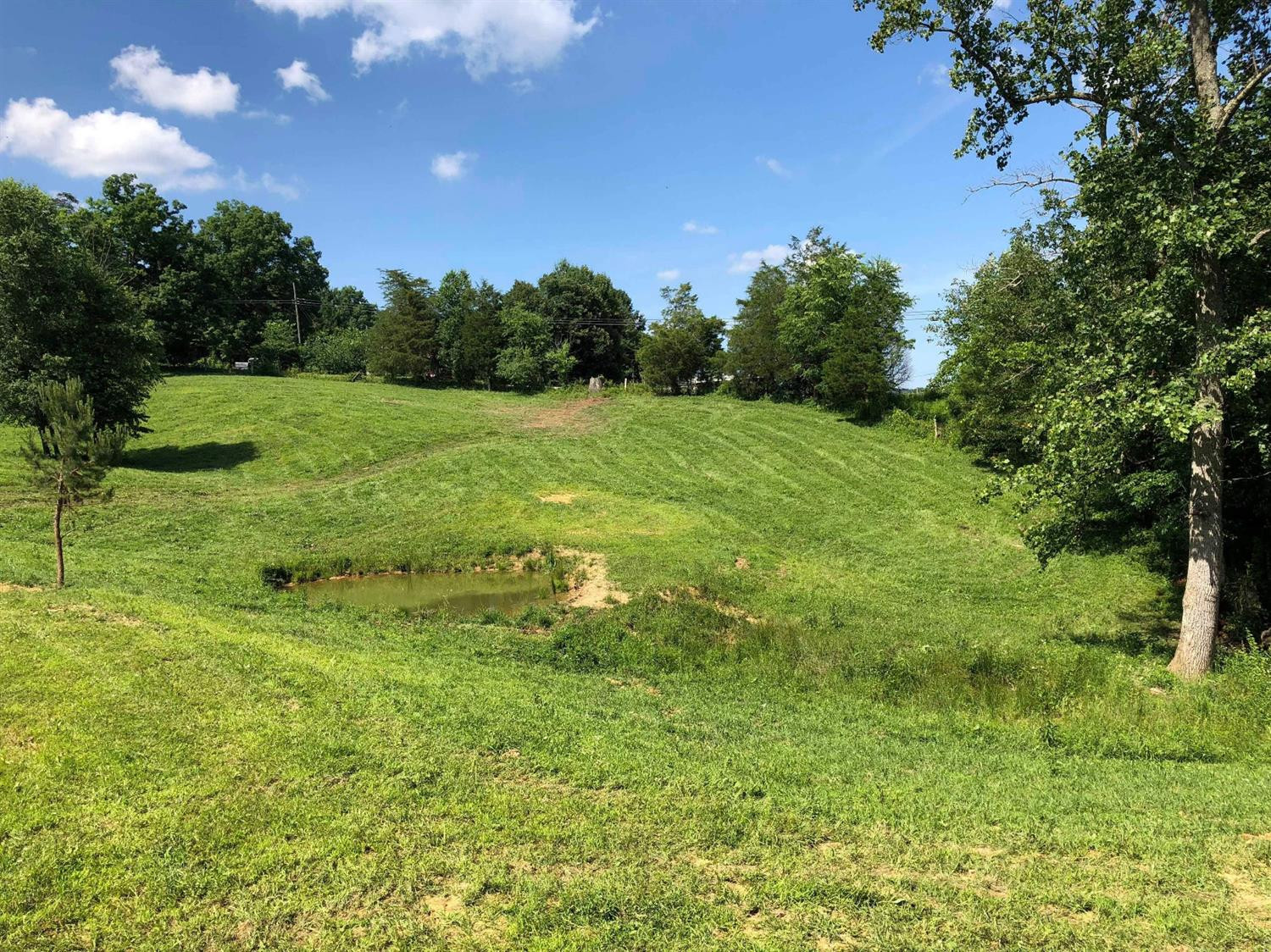 999 Climax Road Orlando, KY 40460 - Photo 8 of 11 Photo 8