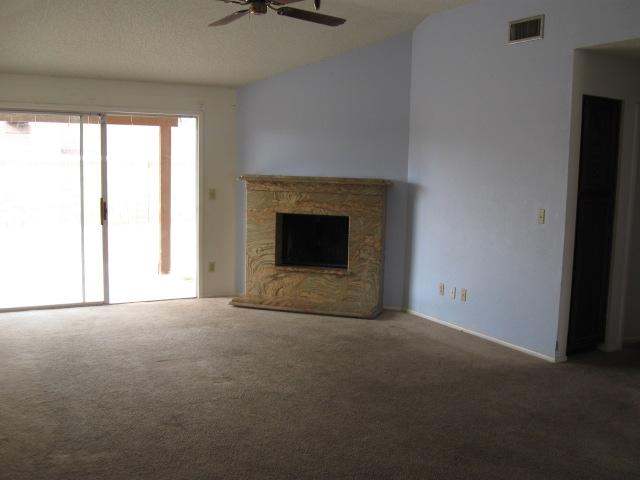 1760 East Vineyard Road Phoenix, AZ 85042 - Photo 2 of 8 Fireplace