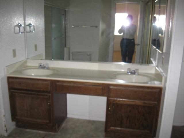 1760 East Vineyard Road Phoenix, AZ 85042 - Photo 8 of 8 Master Bath