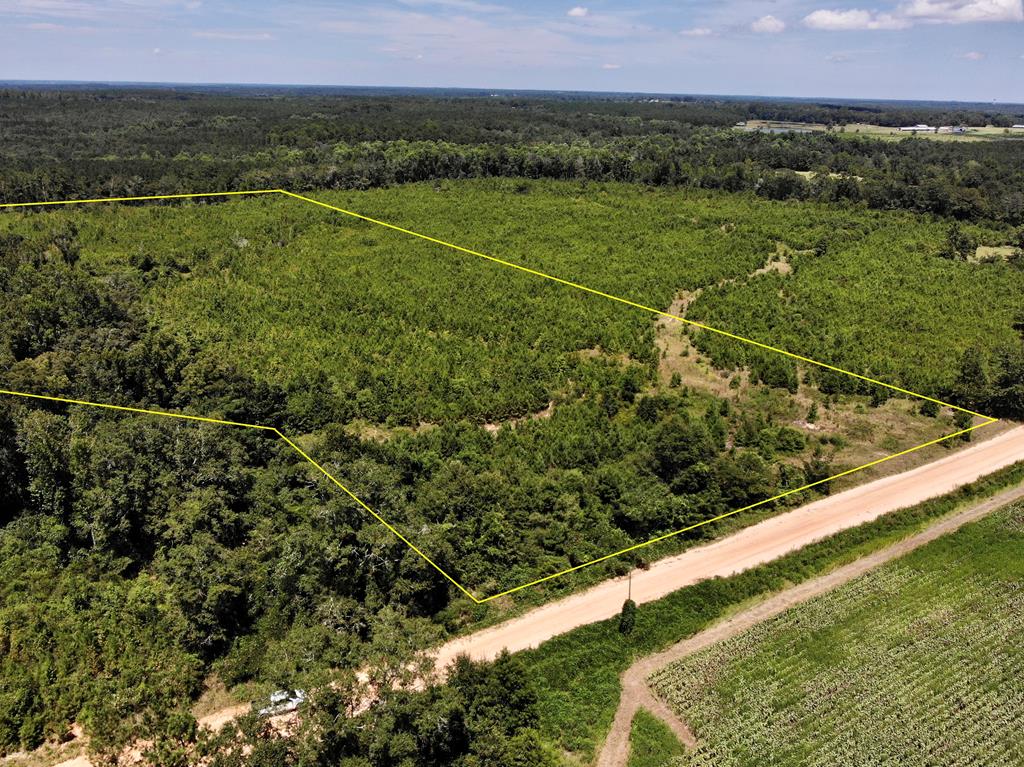 30-ac West Old Elba Road Coffee Springs, AL 36318 - Photo 5 of 19