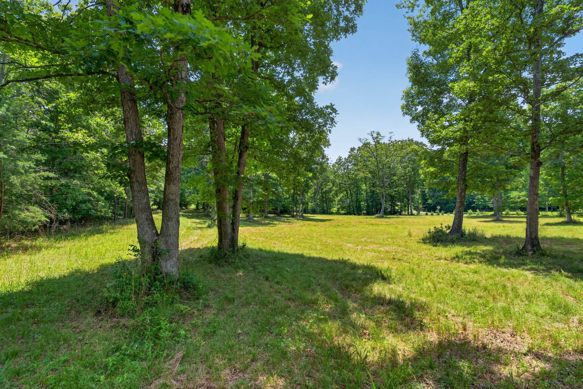 0 Monteagle Falls Road Monteagle, TN 37356 - Photo 2 of 17