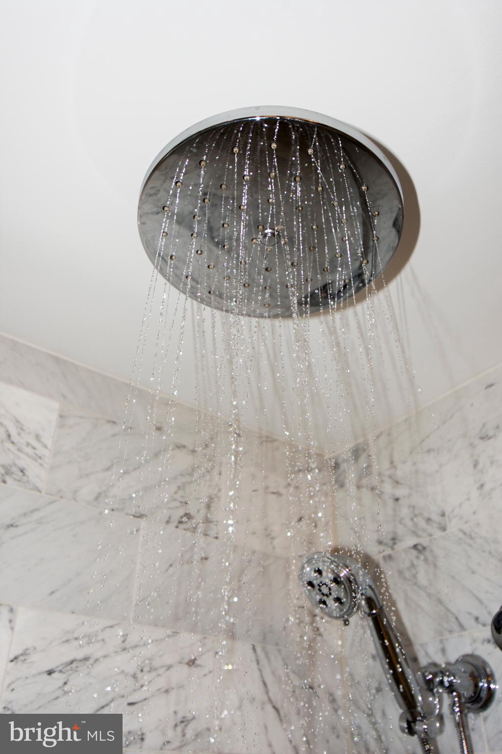 3209 Magnolia Ridge Road Annapolis, MD 21403 - Photo 50 of 106 Rainfall Shower Head In Owners Bathroom