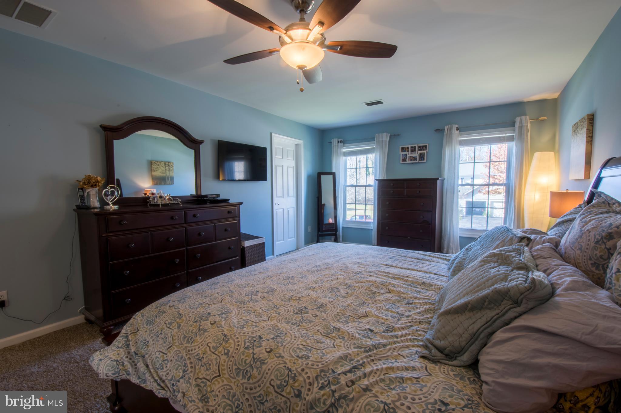 3209 Magnolia Ridge Road Annapolis, MD 21403 - Photo 55 of 106 Owners Bedroom With Ceiling Fan & Light Fixture