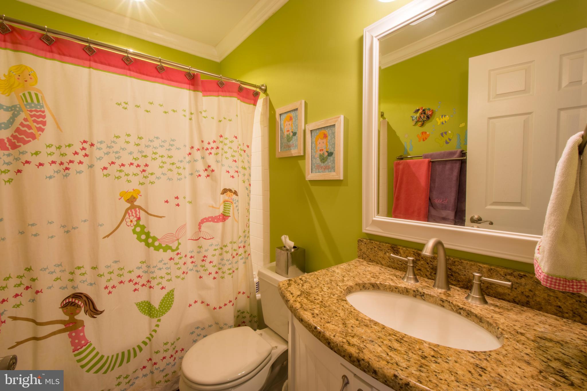 3209 Magnolia Ridge Road Annapolis, MD 21403 - Photo 65 of 106 Upper Level Full Bathroom