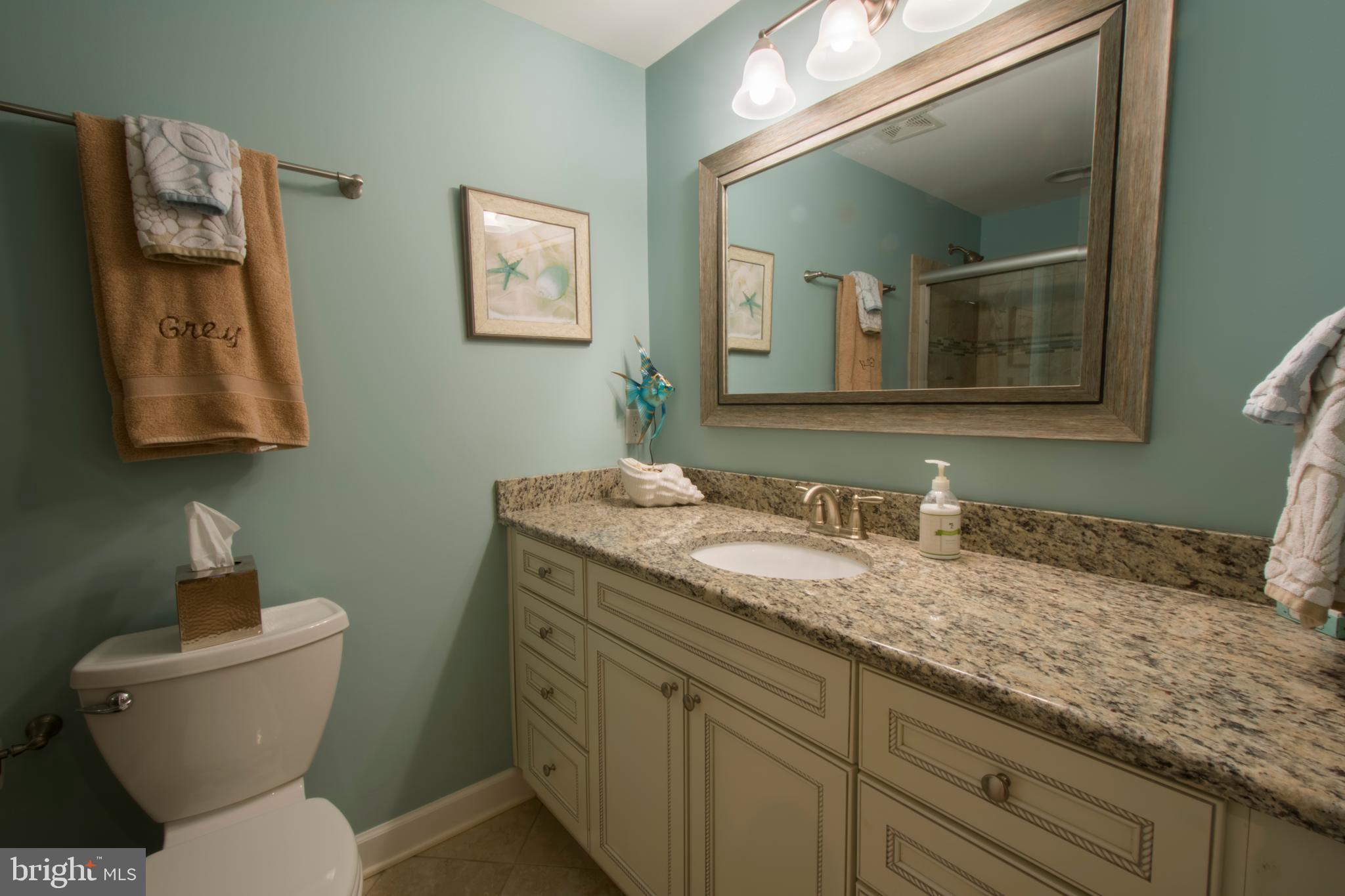 3209 Magnolia Ridge Road Annapolis, MD 21403 - Photo 78 of 106 Lower Level Full Bathroom - Granite Counter