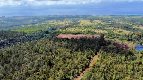 $6,500,000 | Mauka Of Honolua Ditch, Lahaina, HI 96761