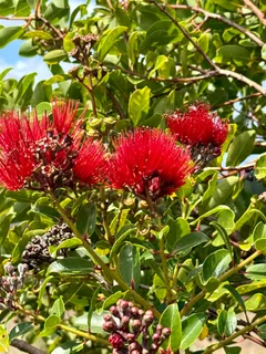 $6,500,000 | Mauka Of Honolua Ditch, Lahaina, HI 96761