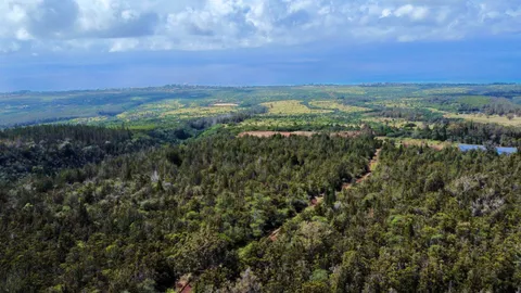 $6,500,000 | Mauka Of Honolua Ditch, Lahaina, HI 96761