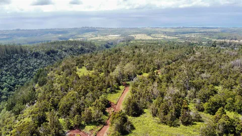 $6,500,000 | Mauka Of Honolua Ditch, Lahaina, HI 96761
