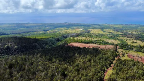 $6,500,000 | Mauka Of Honolua Ditch, Lahaina, HI 96761