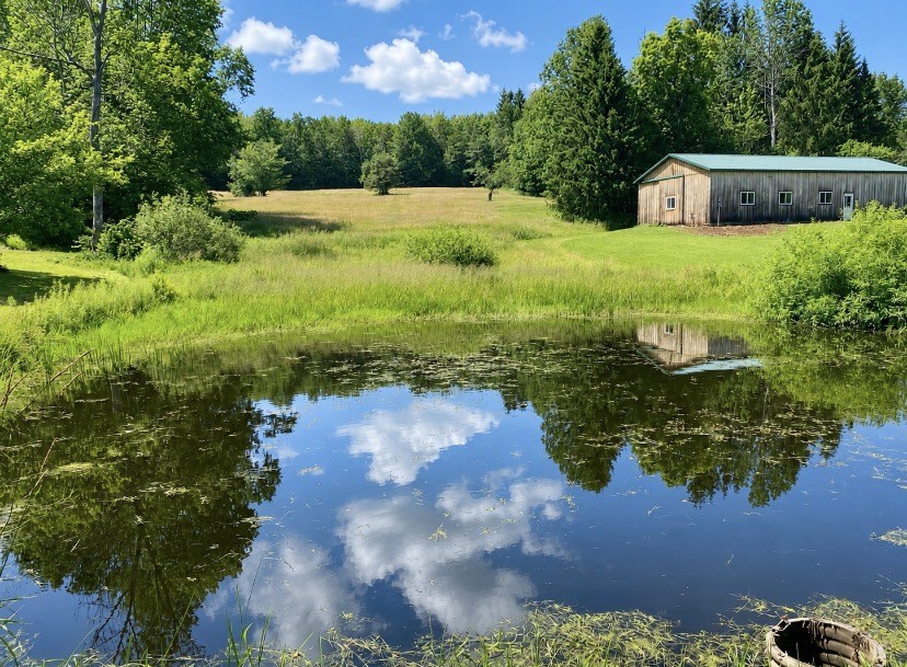 1939 Dry Brook Road Hancock, NY 13783 - Photo 17 of 25 barn and pond