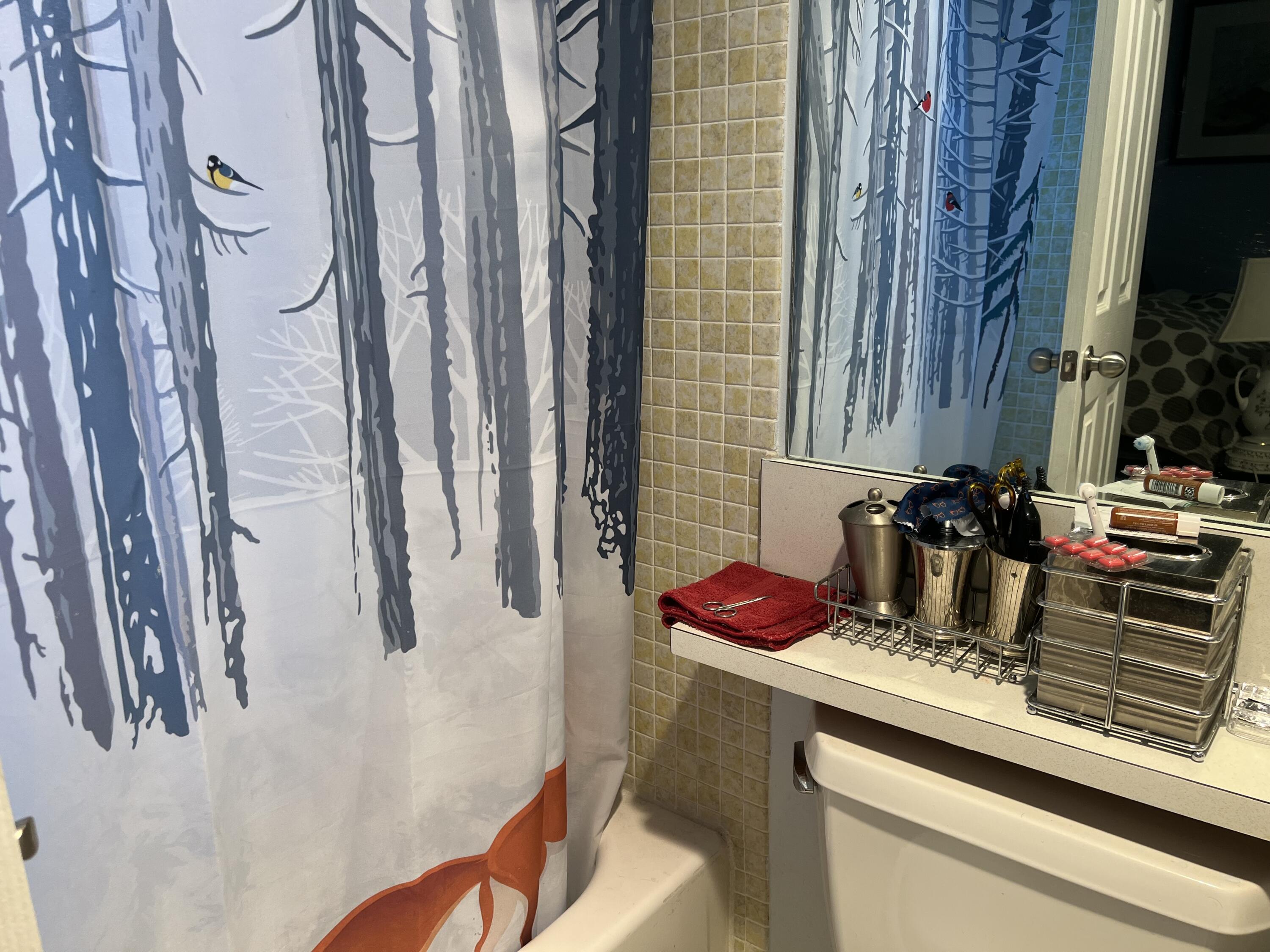 313 Durham Circle Deerfield Beach, FL 33442 - Photo 6 of 9 a bathroom with a sink and a mirror