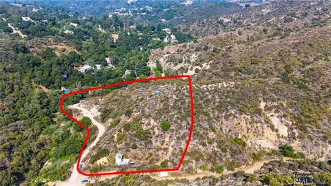 a view of a lush green forest