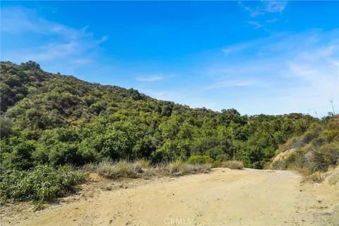 a view of a pathway both side of yard