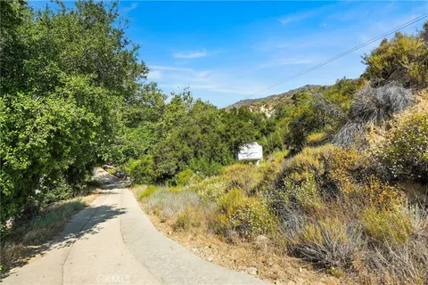 a view of a yard with plants and large trees
