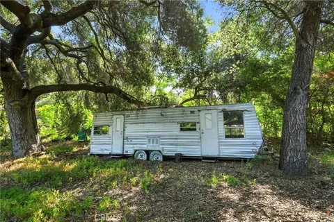 a green field with lots of plants