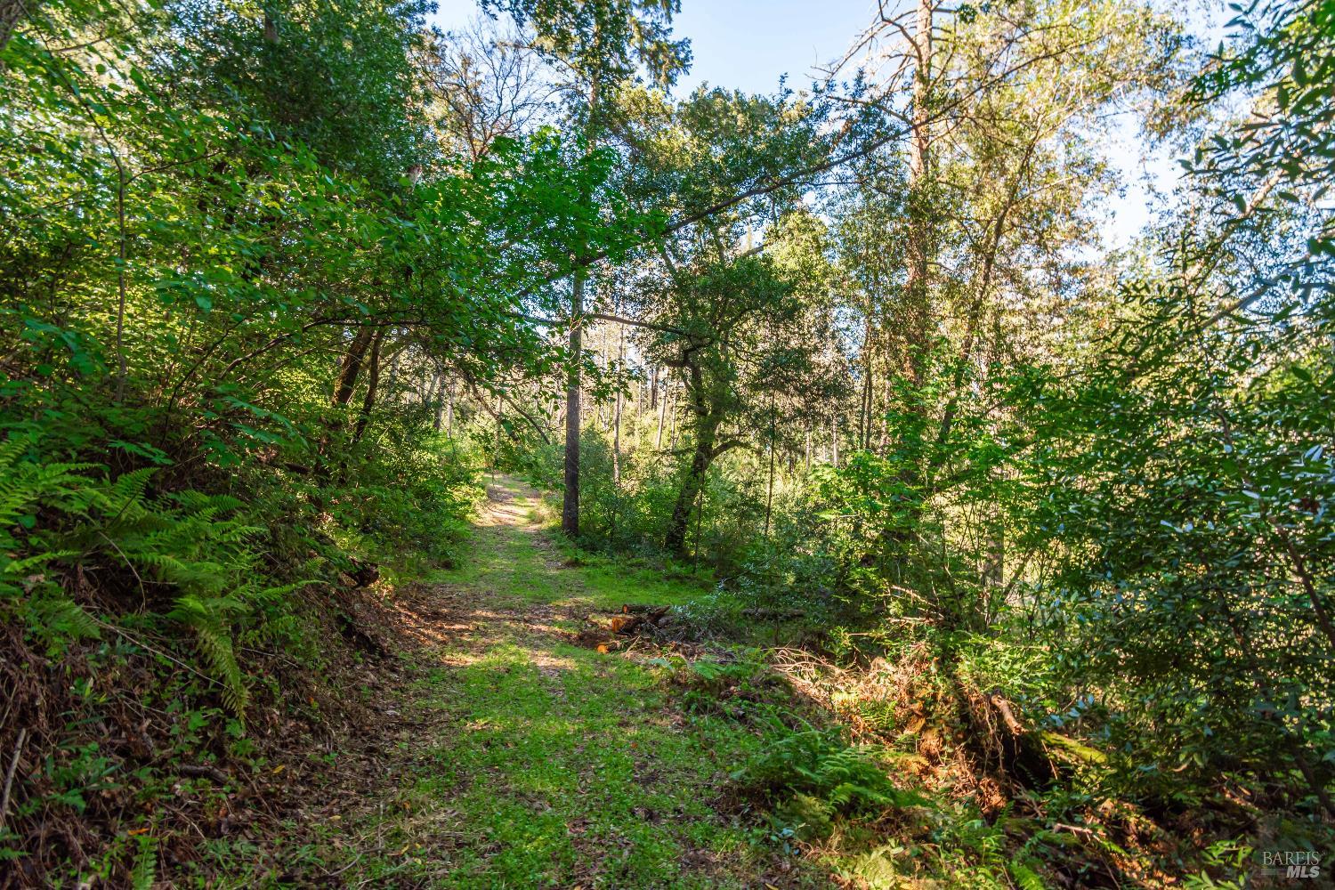 0 Dry Creek Road Napa, CA 94558 - Photo 45 of 98