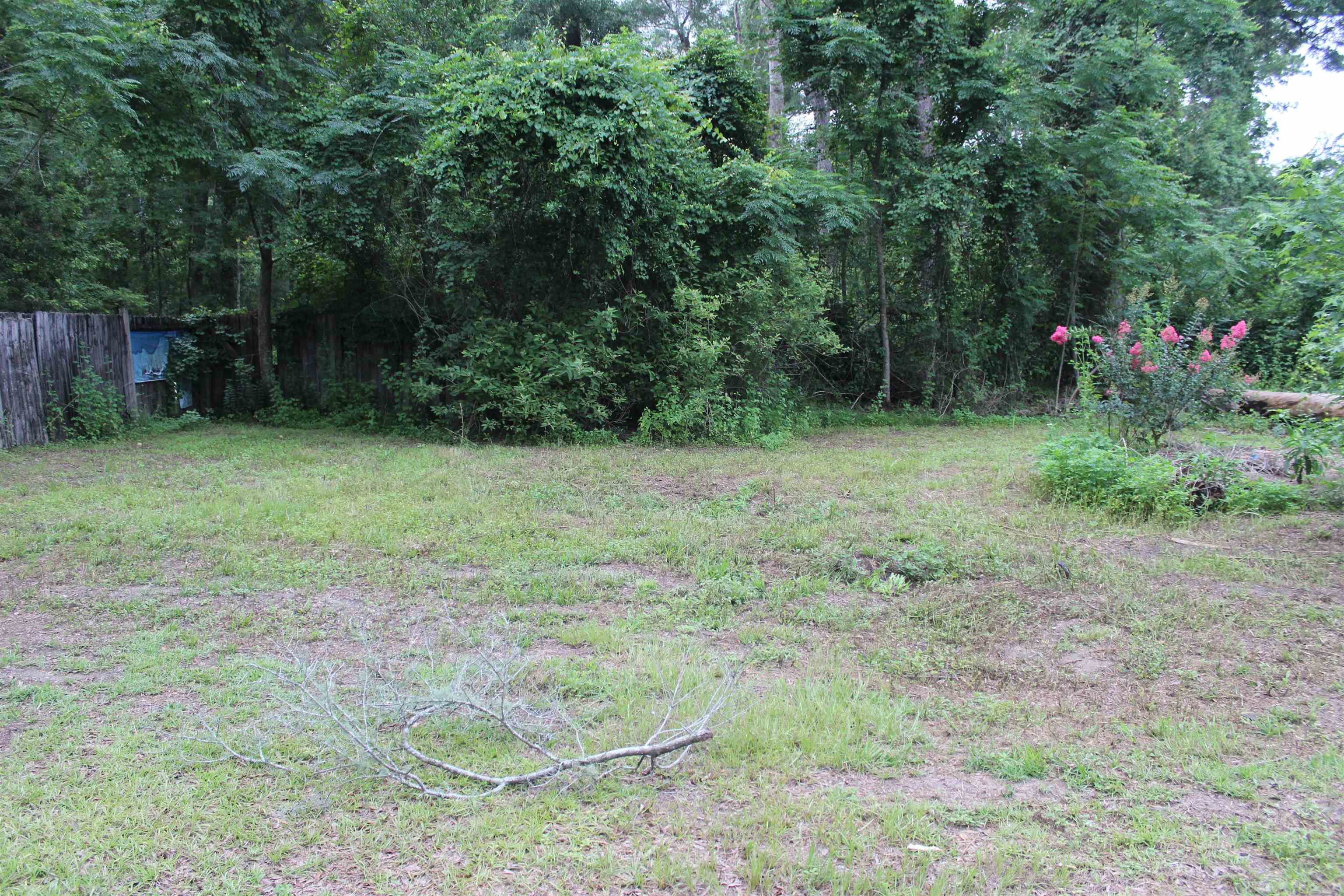 Xx Chippewa Road Crawfordville, FL 32327 - Photo 2 of 4