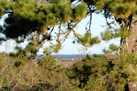 $714,900 | 50 John Hall Cartway, Yarmouth Port, MA 02675