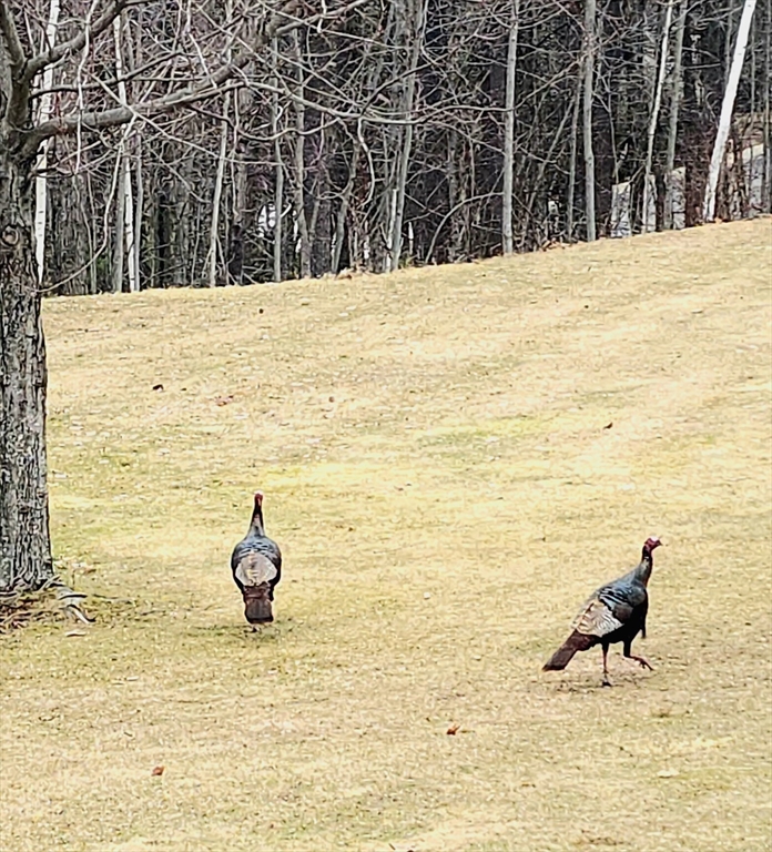 194 Bridle Cross Road, Unit 194 Fitchburg, MA 01420 - Photo 19 of 40